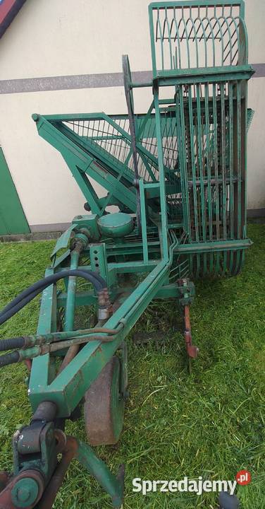 Wyorywacz do selera kopaczka do selerów Koniusza