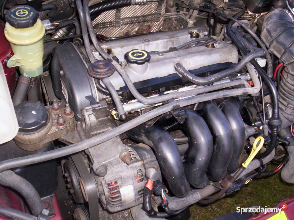 FORD FOCUS MK1 Na Części 16 ZETEC Kolor P8 1600cm3 Focus Częstochowa