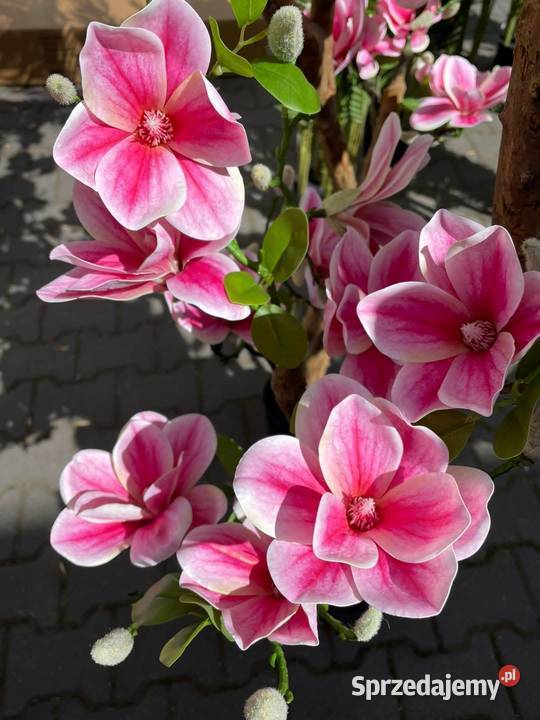 Sztuczne drzewko magnolii 180 Golkowice