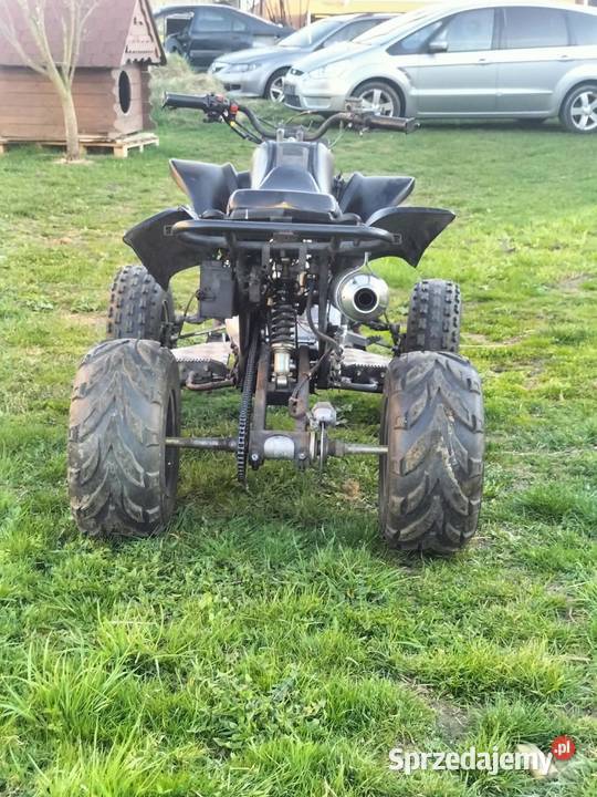 Quad Bashana 250 Zosin