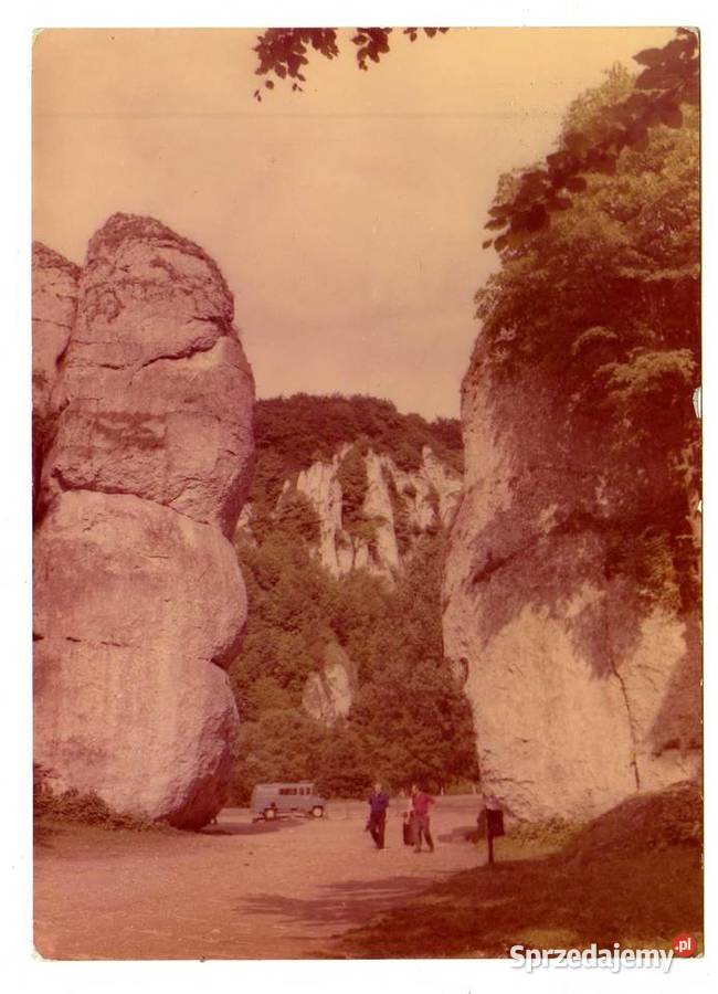 OJCOWSKI PARK NARODOWY OJCÓW Antyki, Sztuka, Kolekcje
