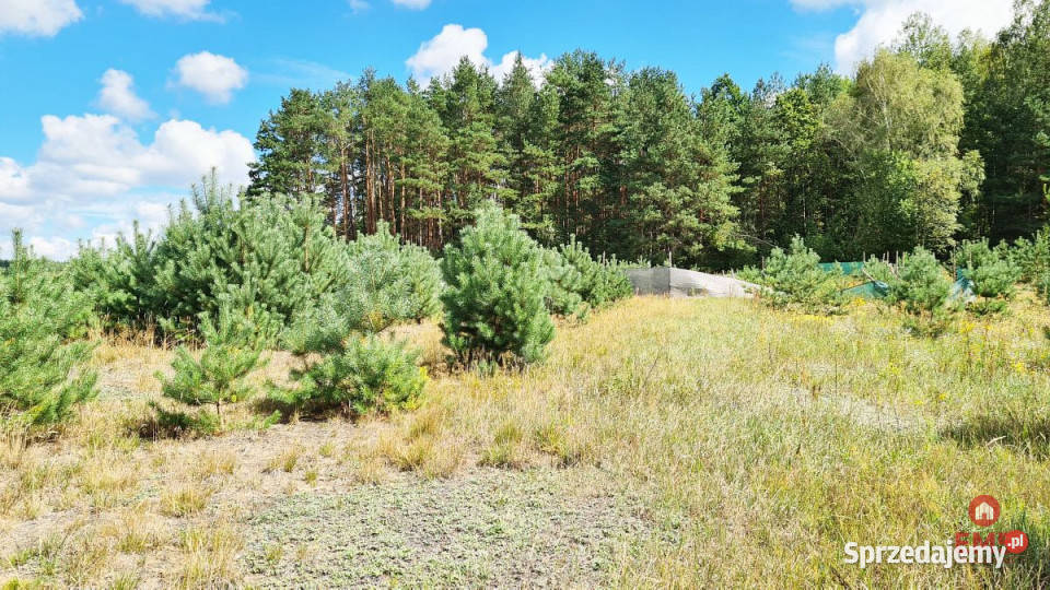sprzedaży gruntu Wólka Poduchowna 1047 metrów