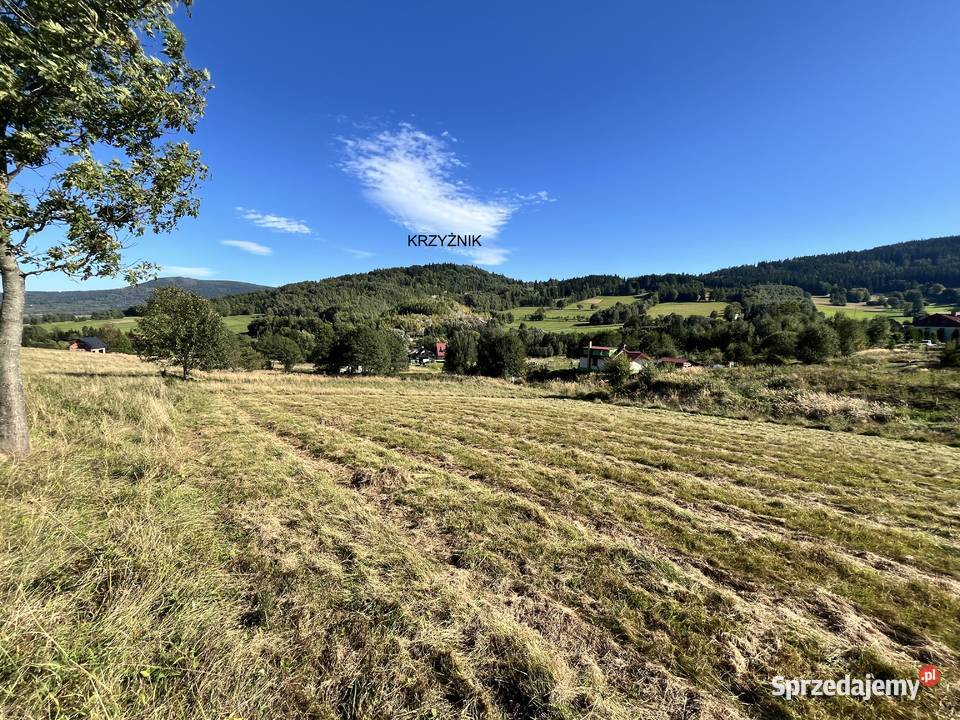 Stronie Śląskie dwie pięknie położone