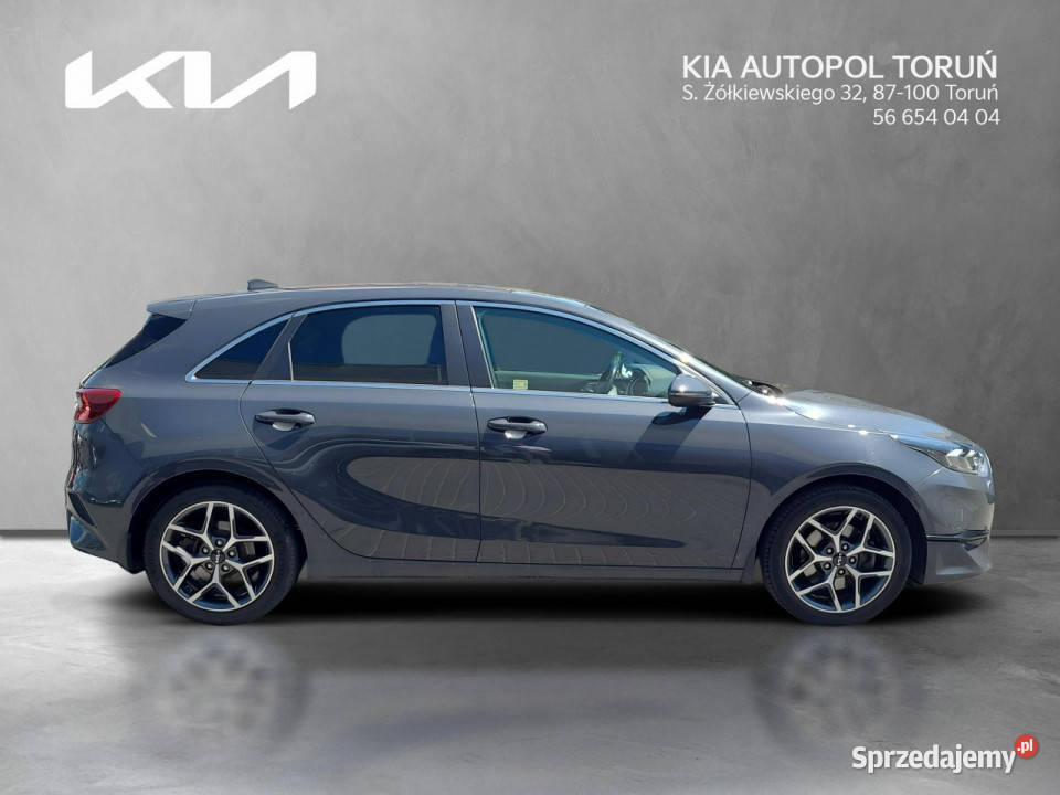 Kia Nowy Ceed Business Line 15 TGDI160 kujawsko-pomorskie Toruń