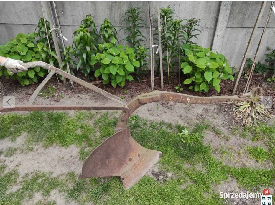 Pług konny jednoskibowy świętokrzyskie Holendry