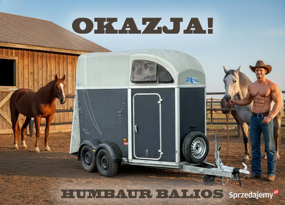 Humbaur Balios Przyczepa do 2 koni używana Poznań