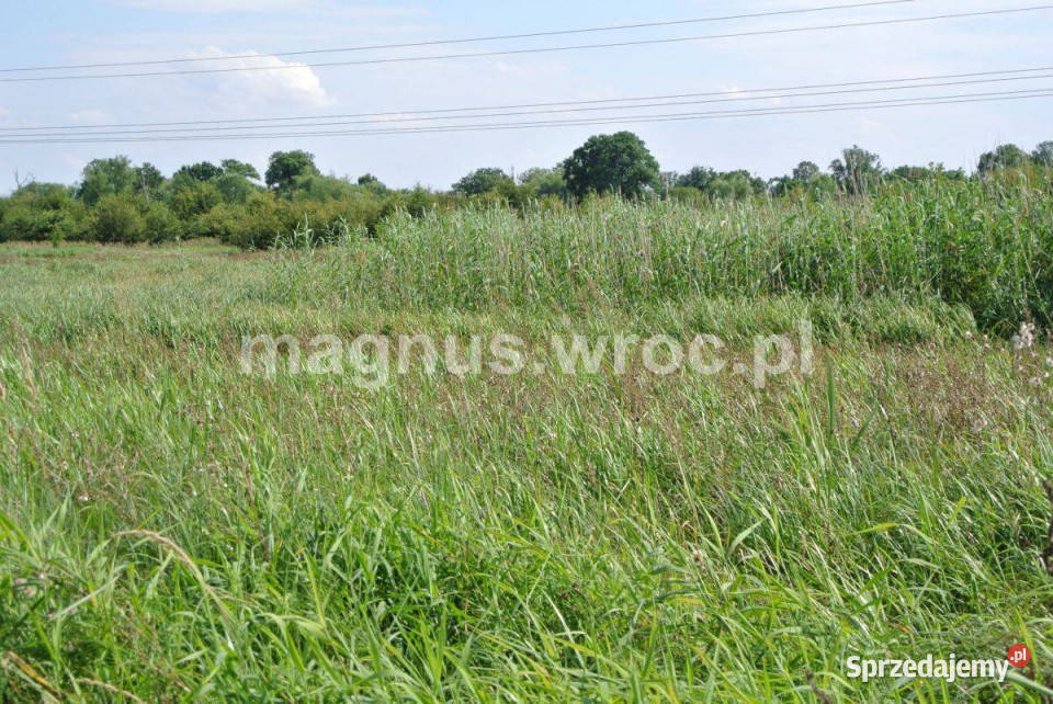 Działka rolna w sercu Wrocławia Widawą Kowale Wrocław