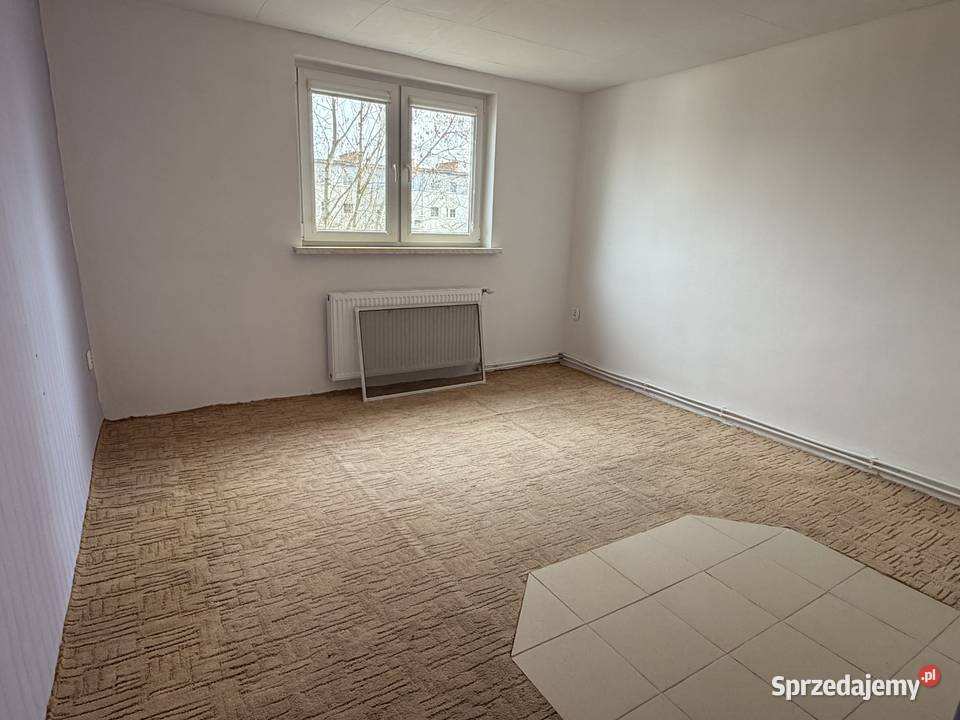 Słoneczne i przytulne mieszkanie w zielonej Sprzedaż Wrocław