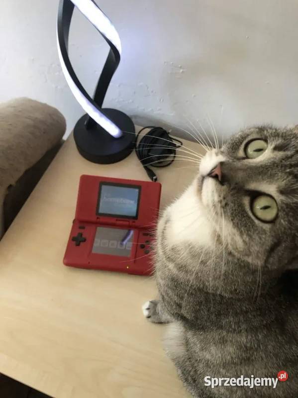 Nintendo DS fat akcesoria Trzcianka