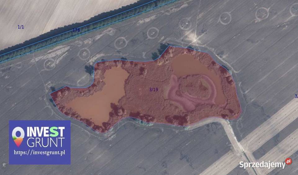 718 ha jezioro przetarg na dzierżawę zachodniopomorskie Krzymów
