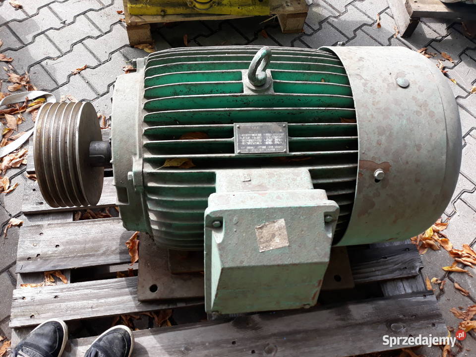 Silnik elektryczny 37kw Sg250M6 Toruń
