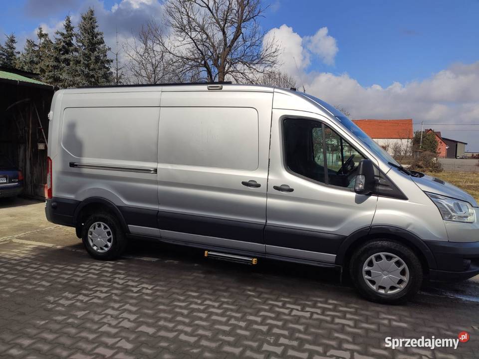 Wynajem bus Ford Transit 20 L3H2 Długołęka
