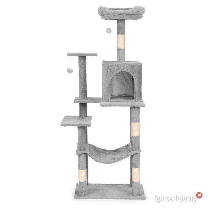 Drapak kota