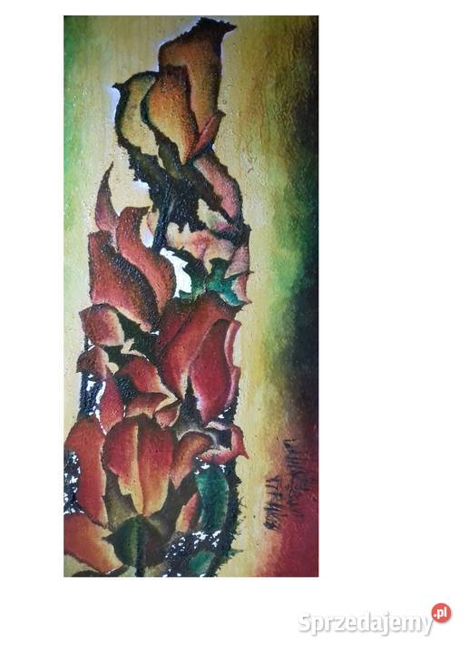 Herezyjne Tulipany podkarpackie Jarosław