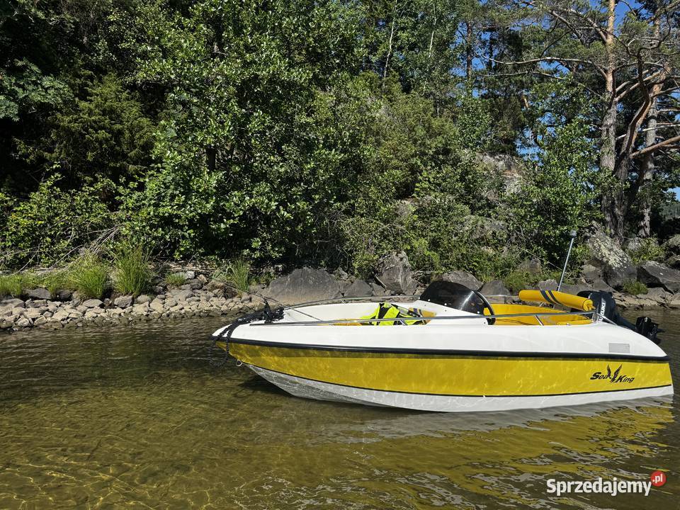 Łódź motorowa Sea King 360 z silnikiem Suzuki z