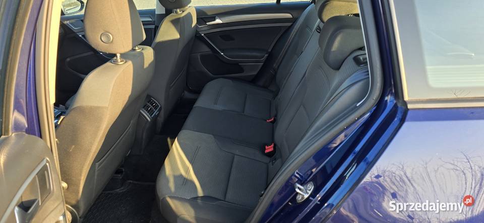 Volkswagen Golf Salon Polska Klimatronik Andrespol sprzedam