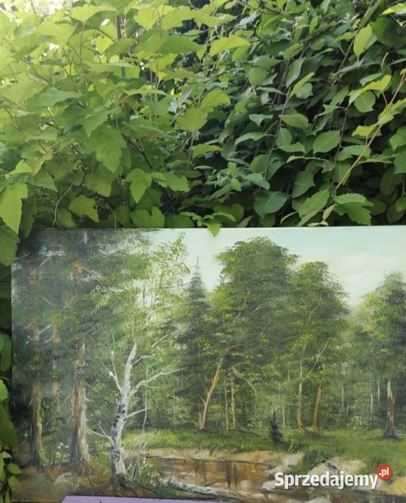 PEJZAŻ LEŚNY OLEJ NA PŁÓTNIE 70 x 50 sprzedam