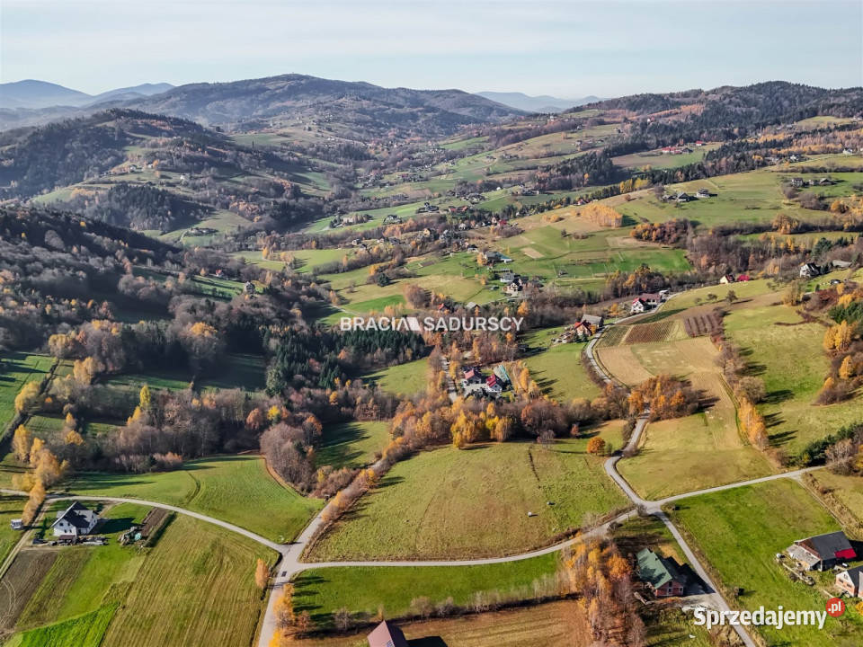 Grunt Kamionka Mała 130000m2 sprzedam