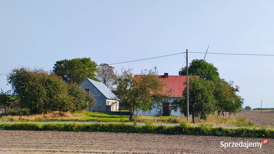 Sprzedam gospodarstwo dom budynki gospodarcze Osieczek