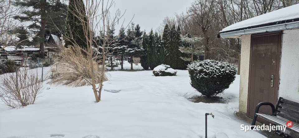 Prawo do dzierżawy działki rekreacyjna warmińsko-mazurskie Elbląg