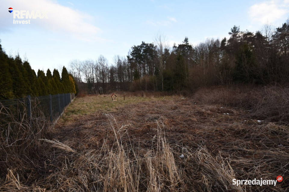 Działka budowlana lesie Kobiór 117 ar budowlana