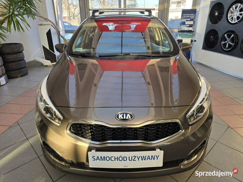 Kia Ceed Krajowy Benzyna Pierwszy właściciel kurtyny powietrzne małopolskie Tarnów