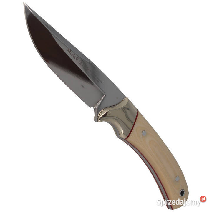 Nóż Muela Setter11B Ivory Micarta Mirror Akcesoria, narzędzia i noże