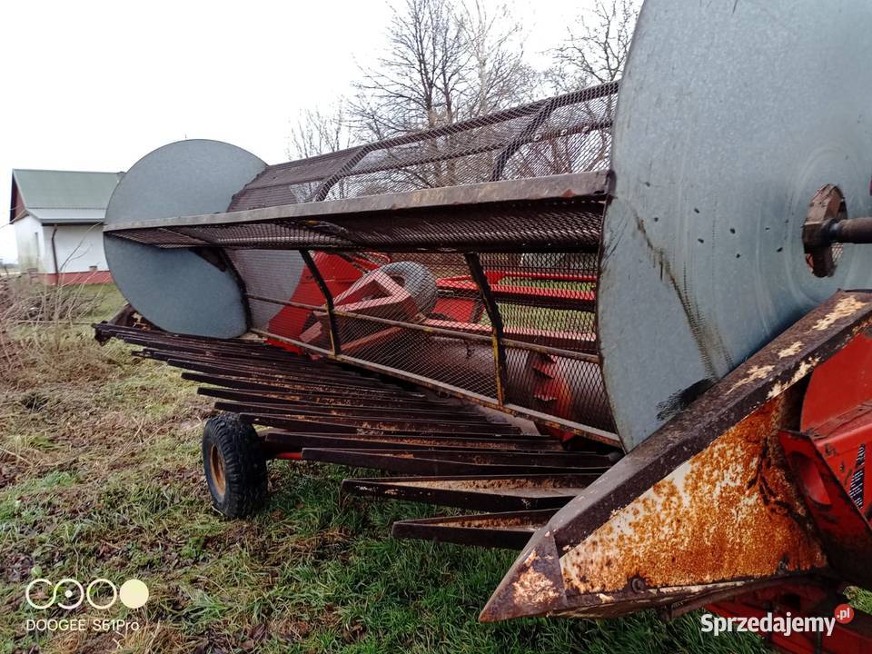 Heder do słonecznika massey ferguson 34 32 36 Zbożowe Maszyny rolnicze Lublin