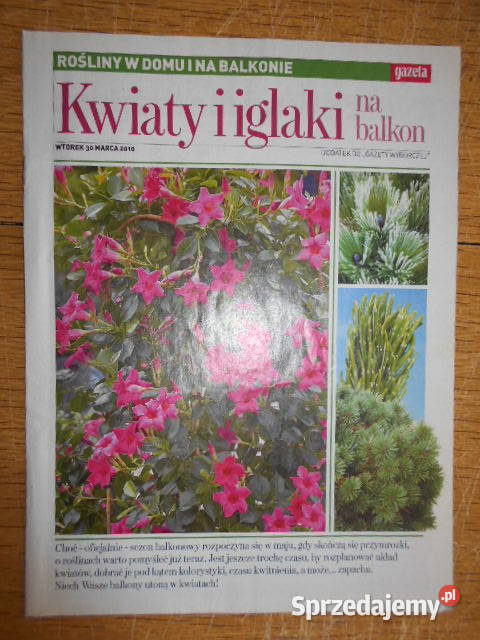 Rośliny w domu i na balkonie Kwiaty i iglaki na
