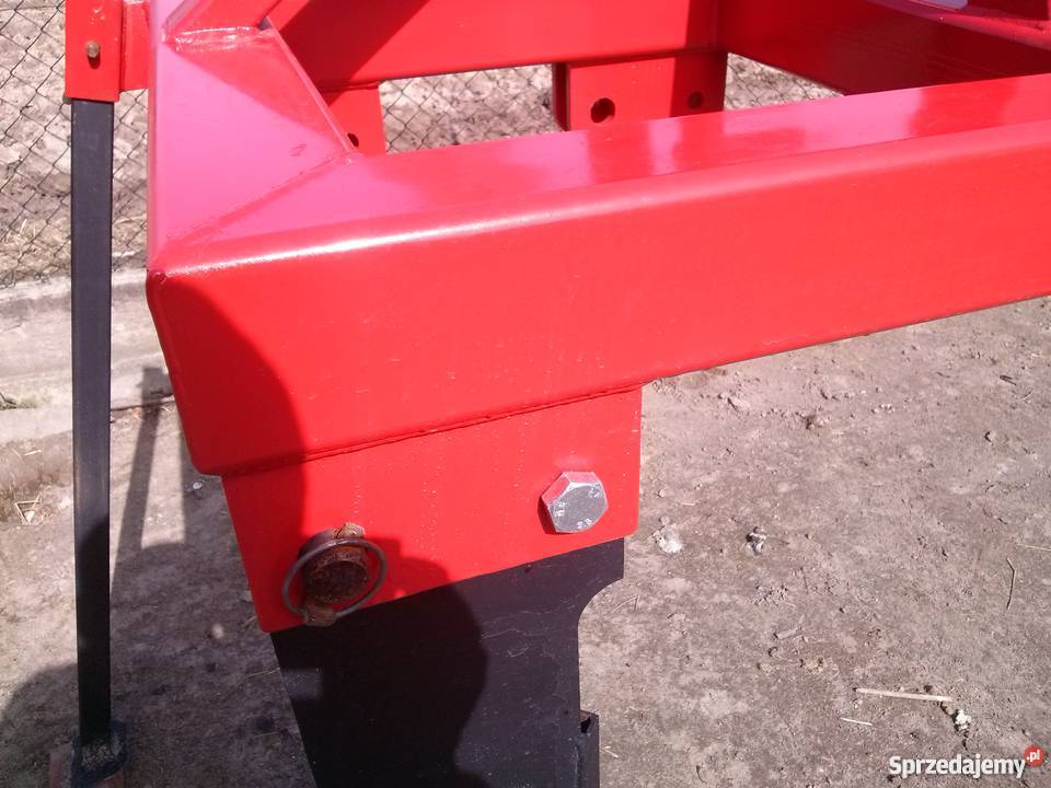 Głębosz 2 zęby Karczmiska Pierwsze