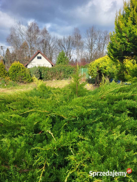 działka Rumiankowa Jaworze