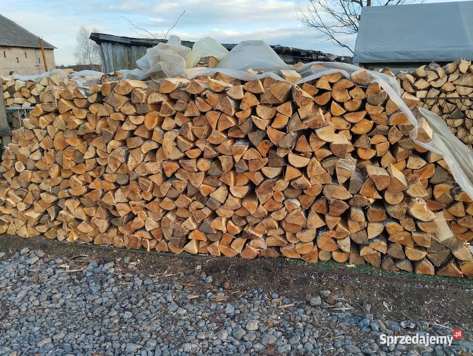 Drewno kominkowe brzoza 692805945 śląskie Dąbrowa Górnicza
