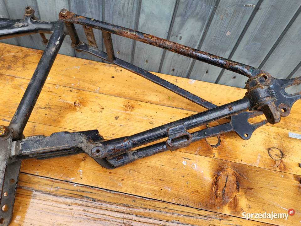 rama triumph Ramy Rybnik