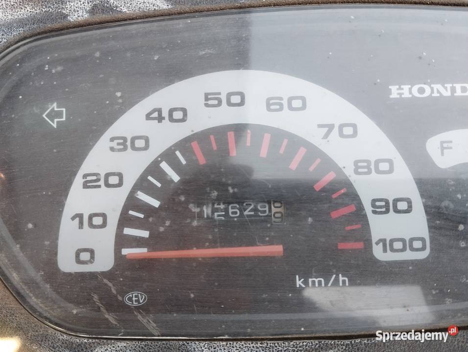 PANNONIA PANONIA chorągiewki Głogów