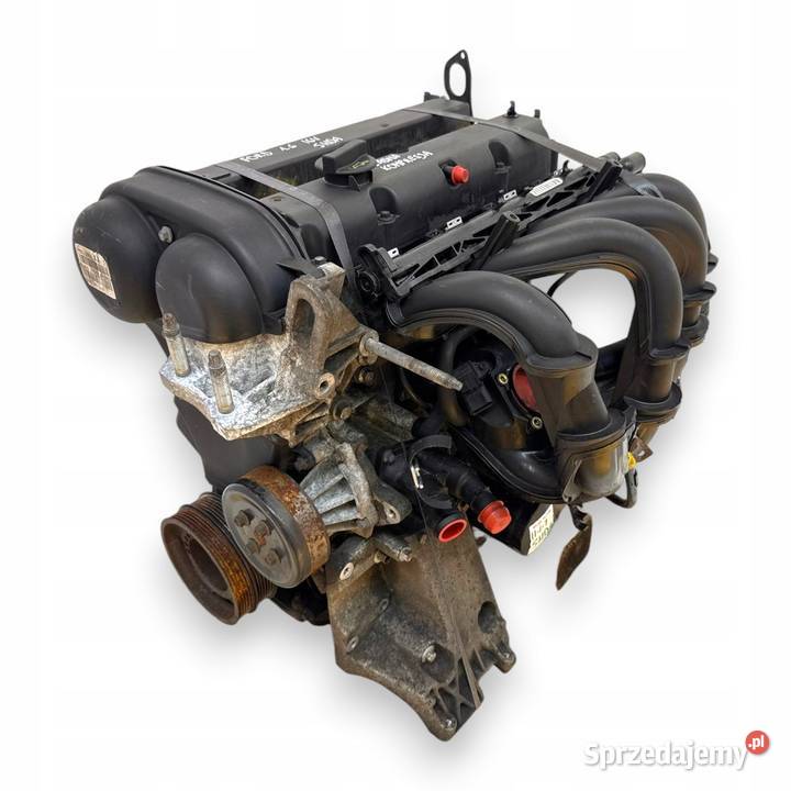 SILNIK SHDA Ford Focus II MK2 C C 16 16V 100 Chełm