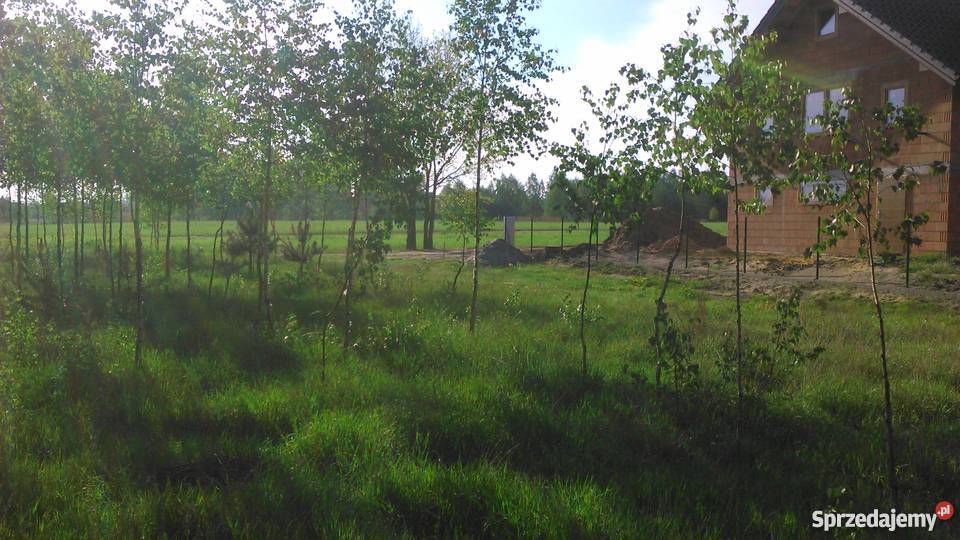 Działka budowlana Tomaszów Maz Ciebłowice Duże Ciebłowice Duże sprzedam