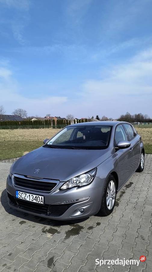 Peugeot 308 T9 Kruszyna