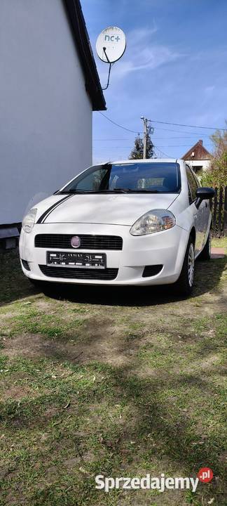 Fiat Punto 12 8V 69 2012r lubuskie Sulęcin
