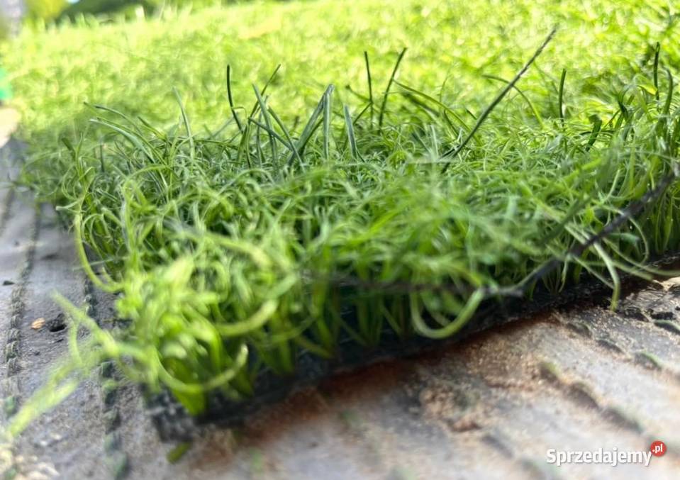 Sztuczna Trawa w RolkachProdukt Premium 2m Warszawa sprzedam