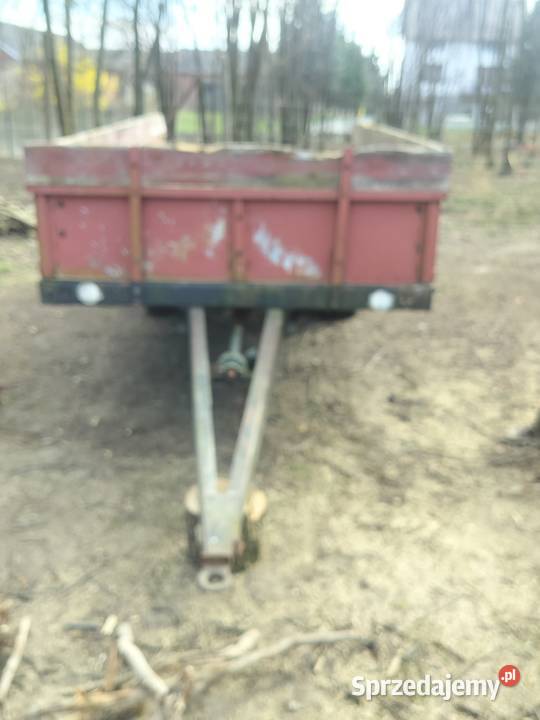 Rozrzutnik Miłochniewice