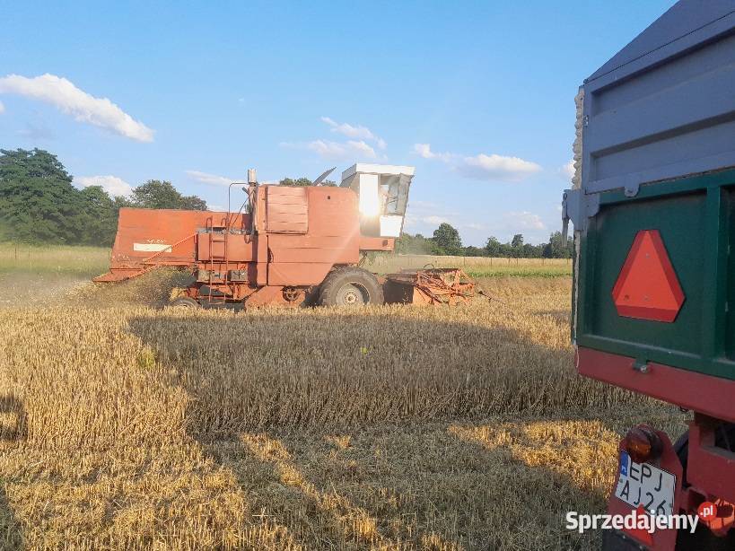 Kombajn Bizon Z056 Bizon łódzkie Wiewiec