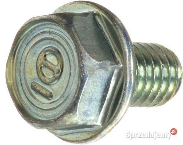 Śruba kołnierzowa M6x10 mm 957010601008 Kamionna