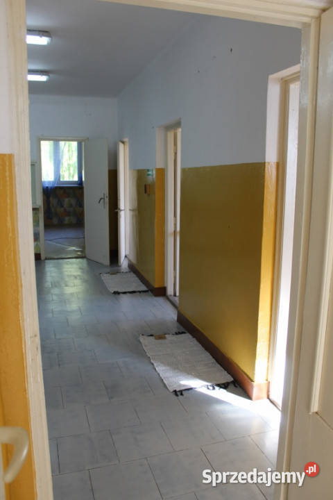 Obiekt medusług 360m 2 mieszkania działka 40 360m2 lubelskie Hulcze