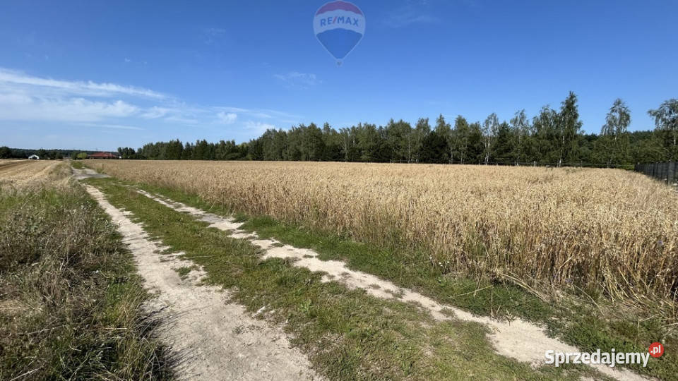 Kicin kPoznania3007 m idealna pod dom 60m wielkopolskie