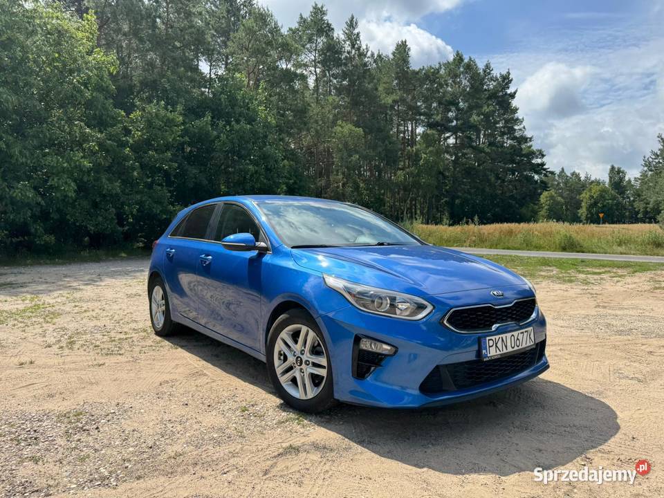 KIA CEED III Głodno