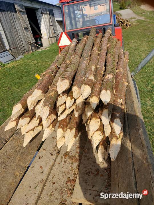 Kołki ogrodzeniowe pastuch ogrodzenie słupki Leśnictwo Podwysokie Jeleniewskie sprzedam
