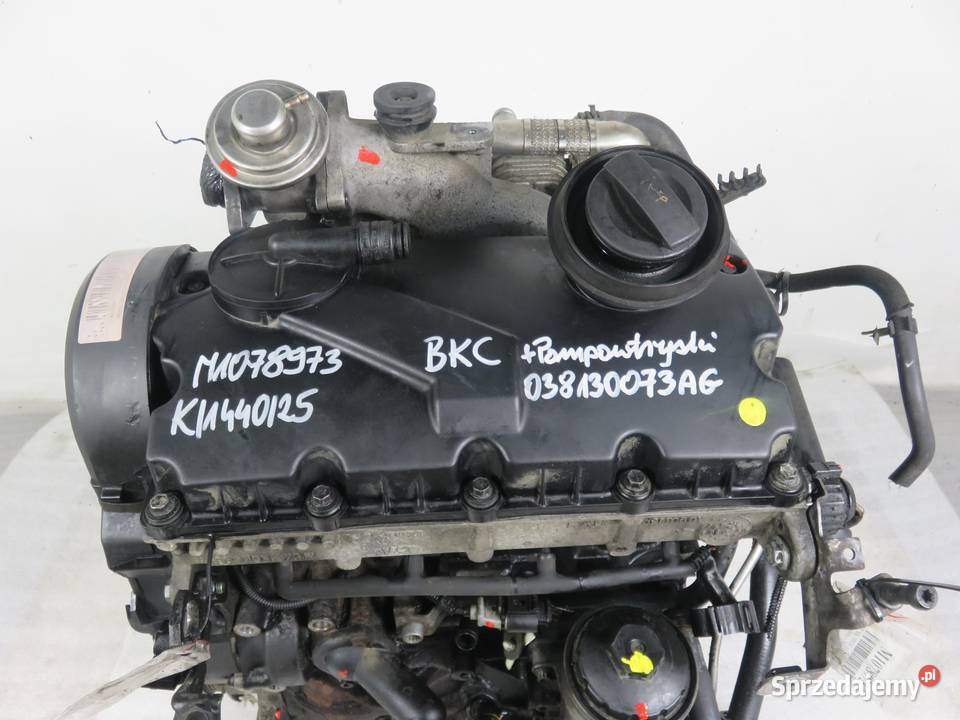 SILNIK VW GOLF V 19 TDI 105 BKC 038130073AG osobowe