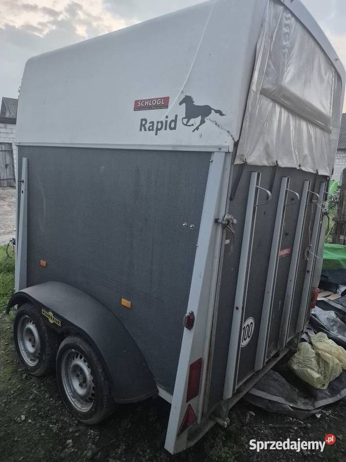 przyczepa koni rapid humbaur Nielisz sprzedam