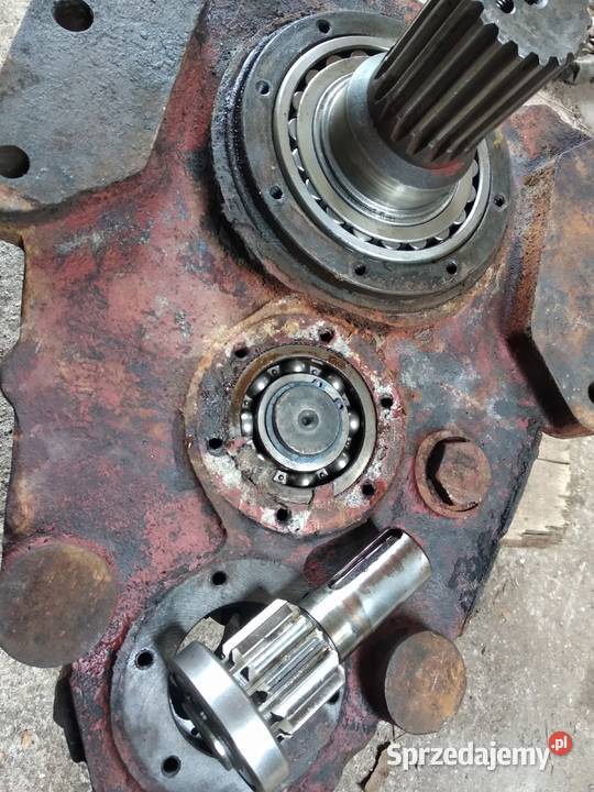 Waryński k408 Błotniak Złotnica