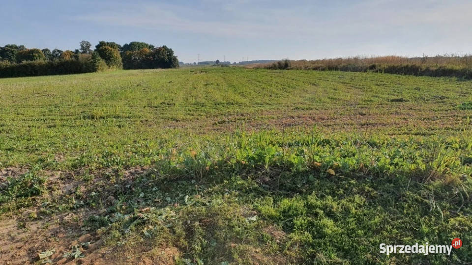 tania działka budowlana łódzkie Gaj